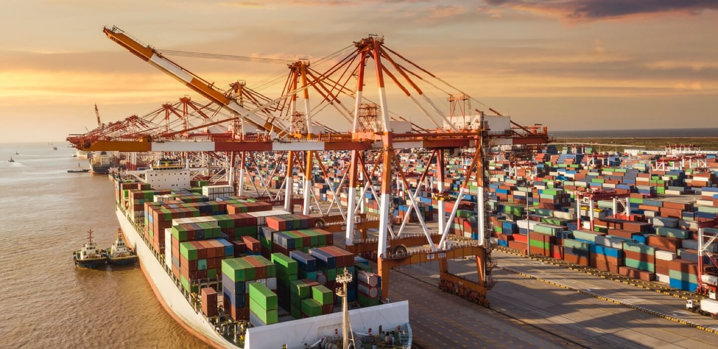 Exportamos a 12 países