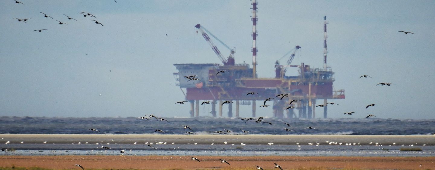 Aço Carbono S355G14